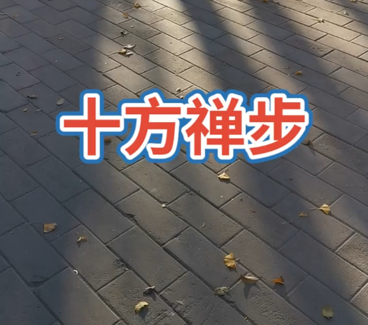 十方禅步